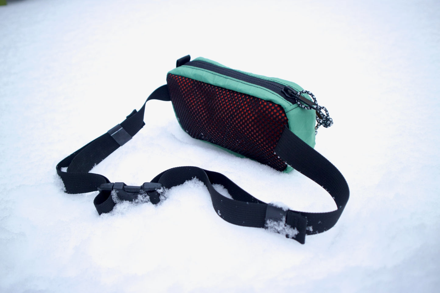 Asteroid Belt Hip Pack