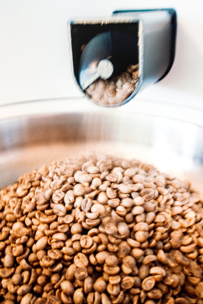 Cedaero Coffee - Snozzberry Light Roast