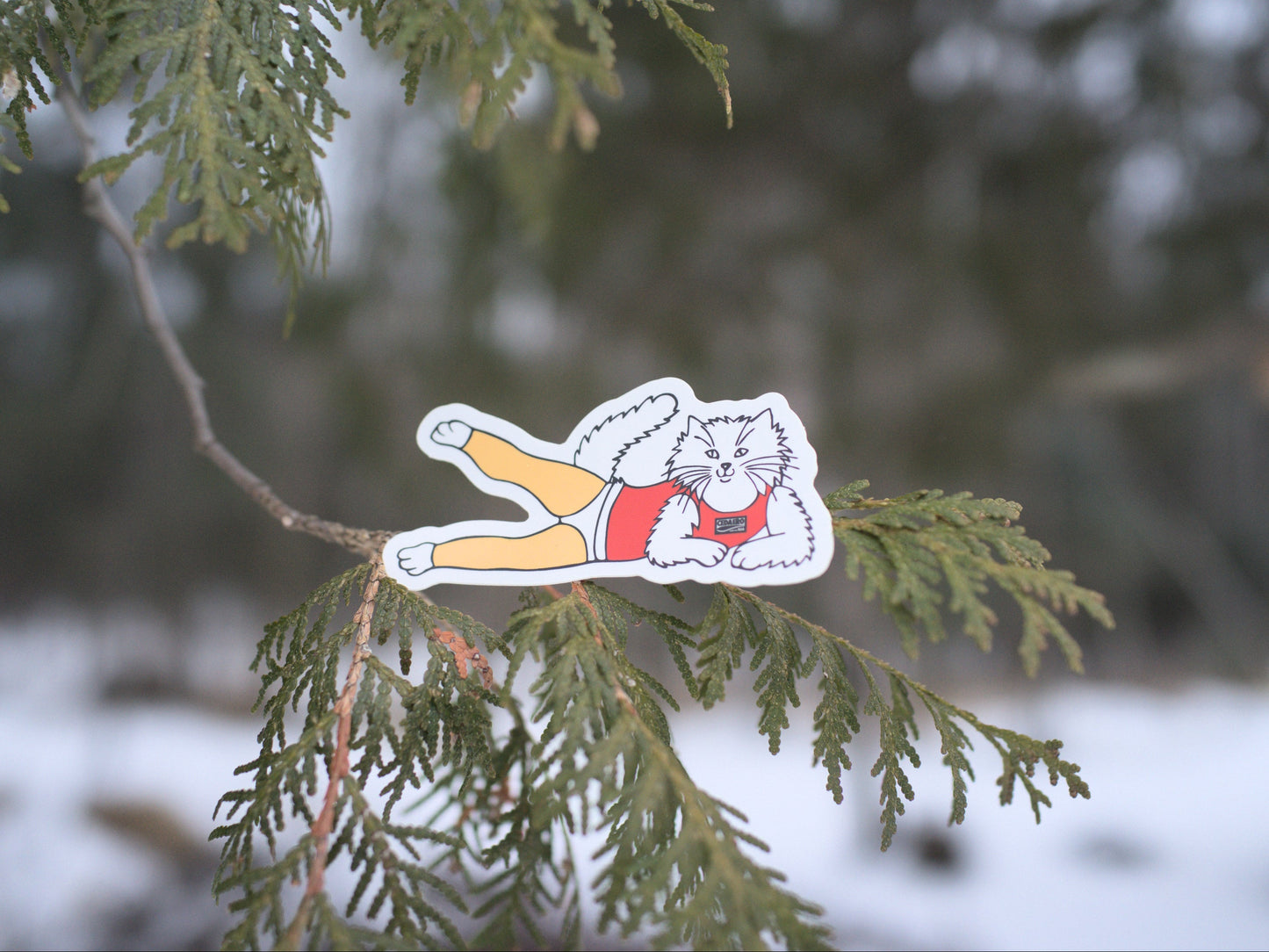 cedaero slender james sticker on a tree branch with a snowy background