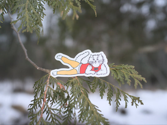 cedaero slender james sticker on a tree branch with a snowy background